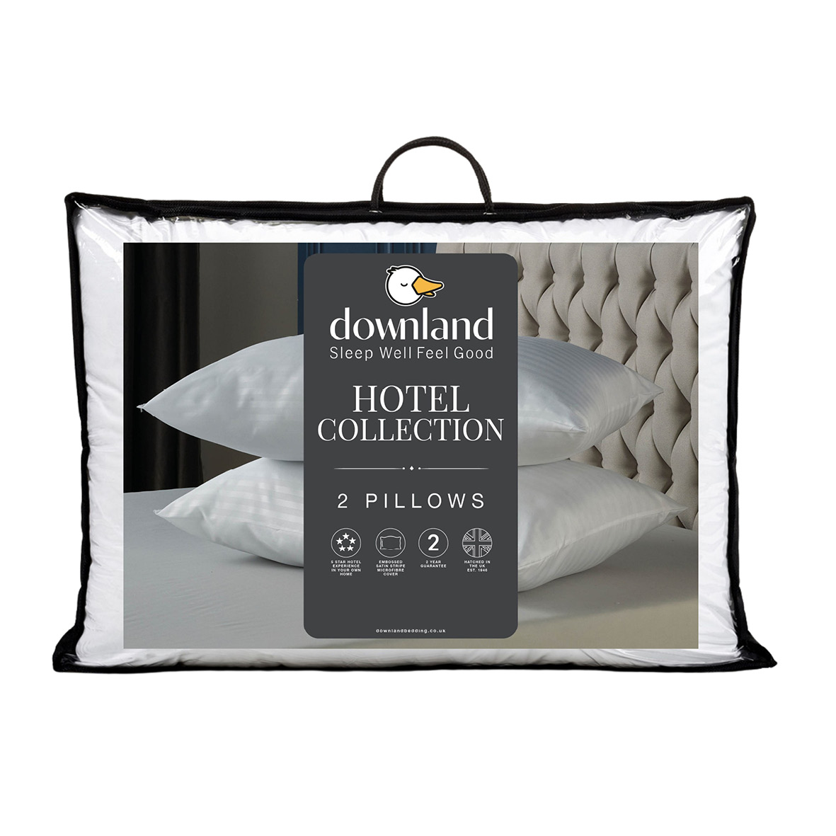 The Pillow Collection Set of 2 18